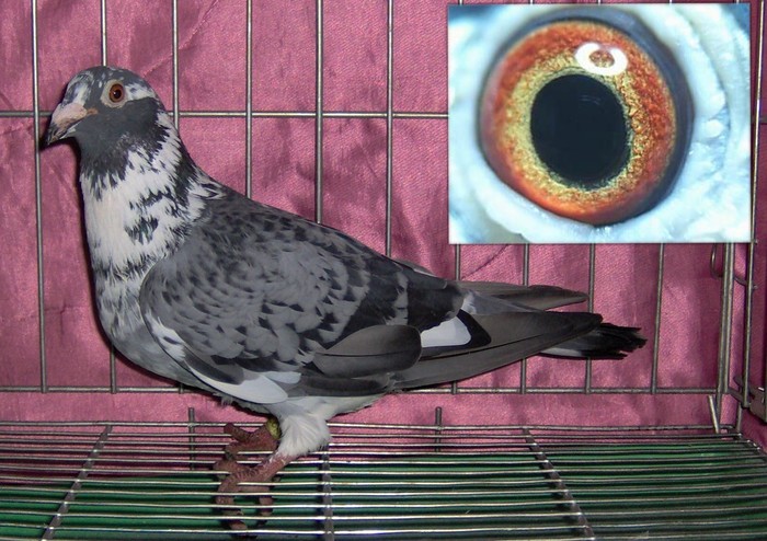 如皋市一千公里16名