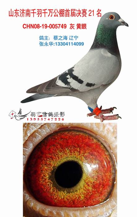 小温侯鸽舍