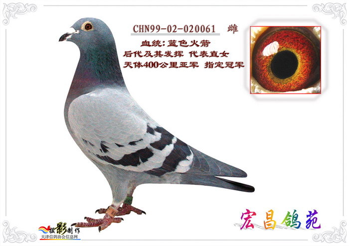 蓝色火箭