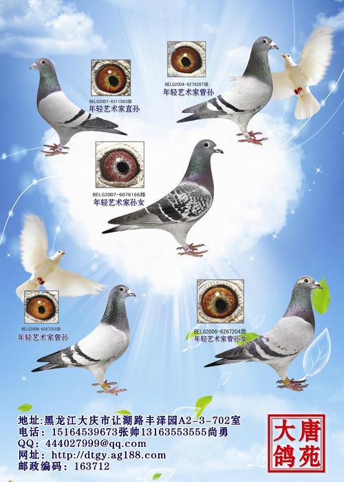 胡本