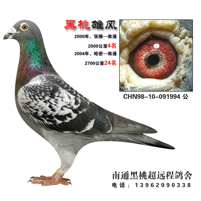 黑桃雄风