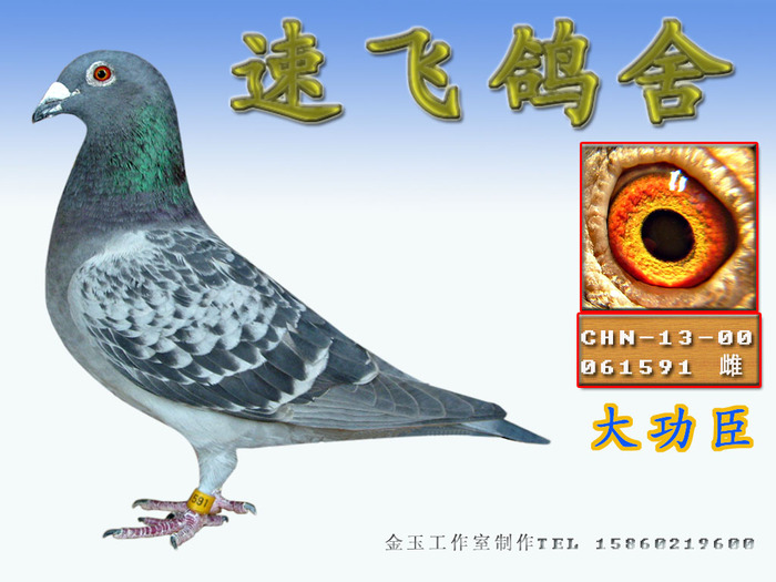大功臣