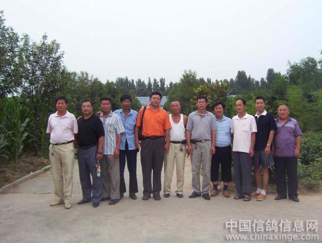 公棚执裁