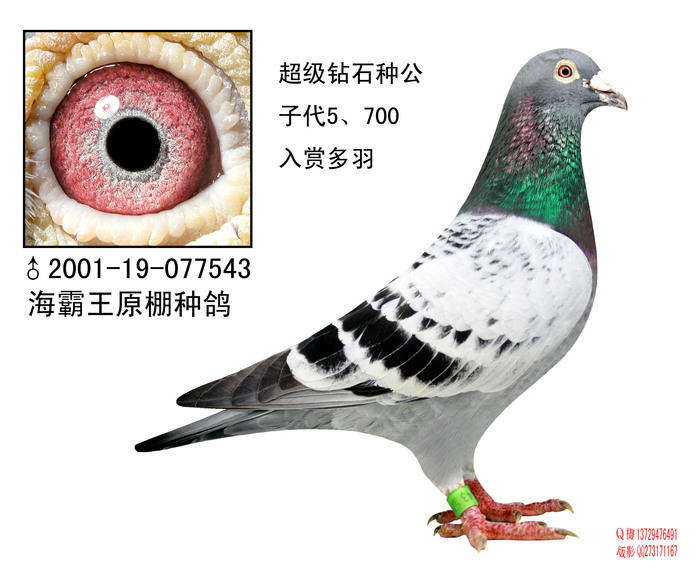 01-077543