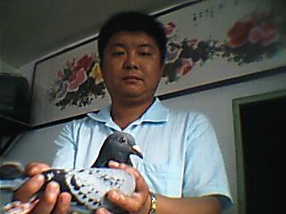 看看